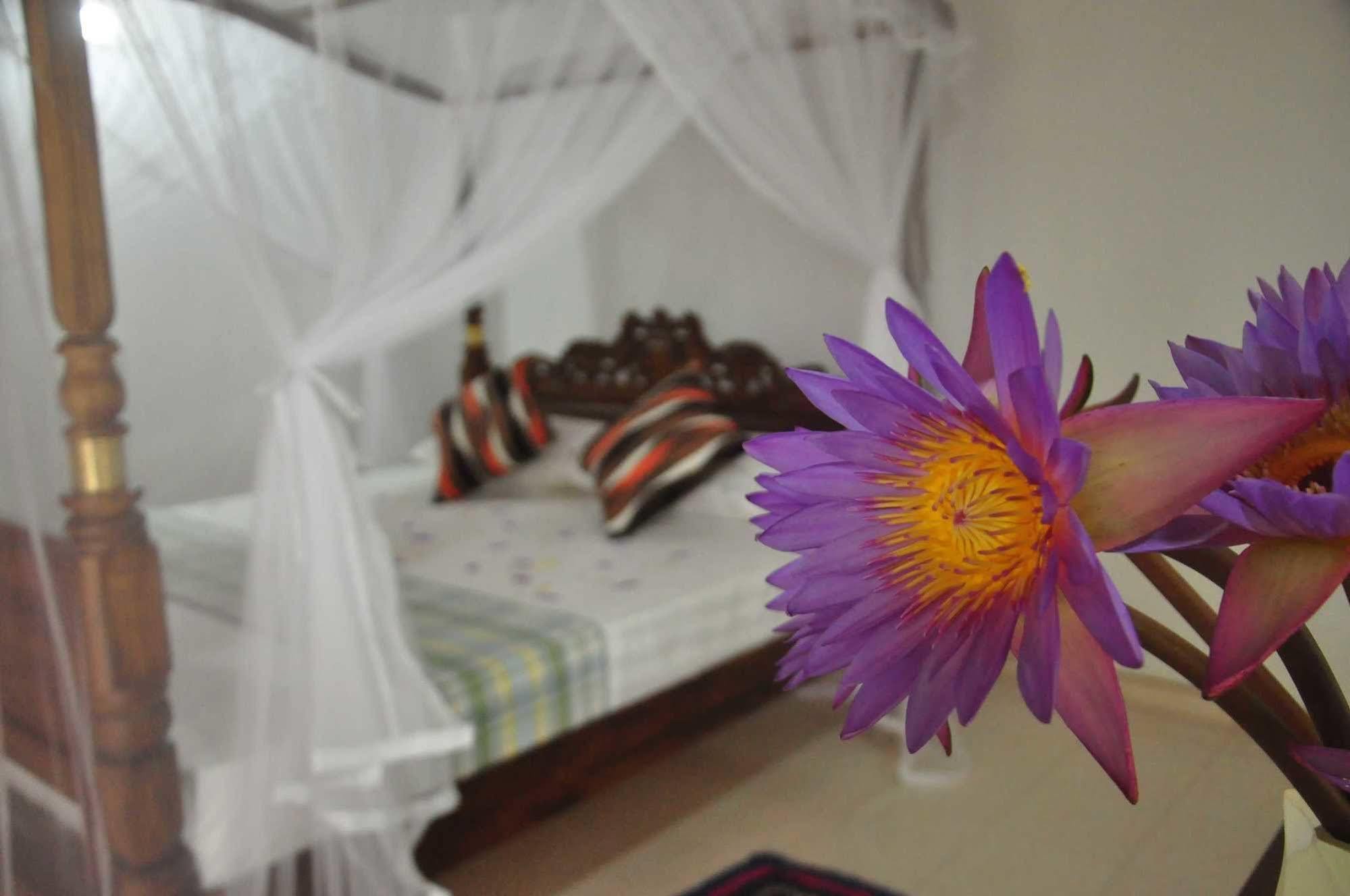 Crescent Resort كالي المظهر الخارجي الصورة