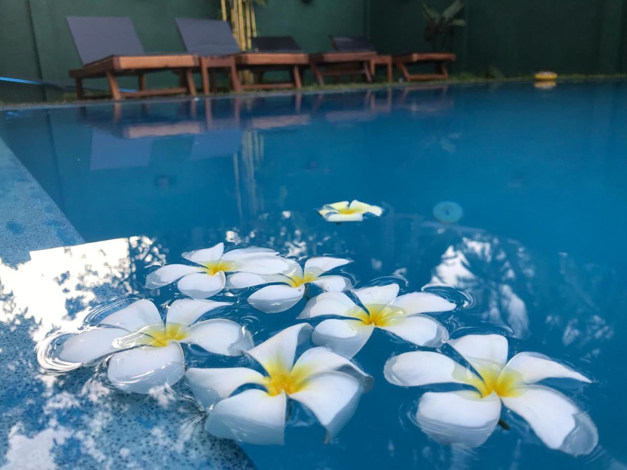 Crescent Resort كالي المظهر الخارجي الصورة
